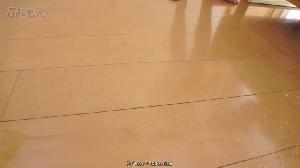 PNME253 美颜 白露